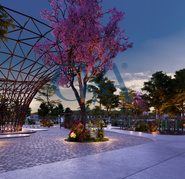 DESAROLLO WAYUUM MÉRIDA