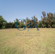 EXCELENTE TERRENO EN LOS SAUCES