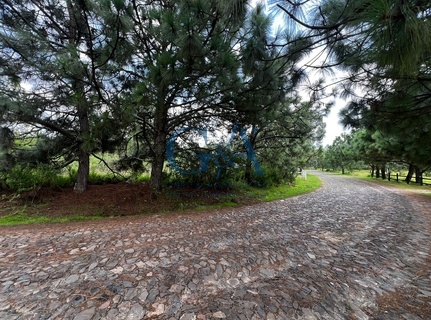 TERRENO EN VENTA TAPALPA