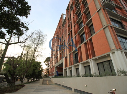 BRASILIA DEPARTAMENTO